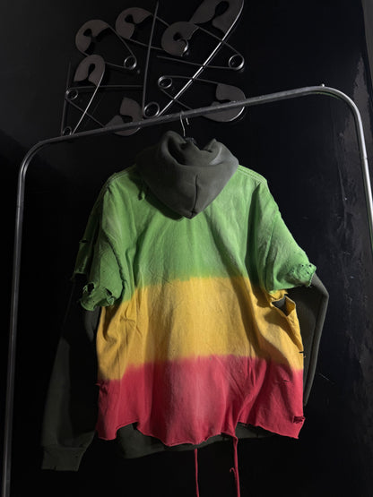 Bob Marley Lion Distressed Graphic Print Hoodie, Green Yellow Red Pullover